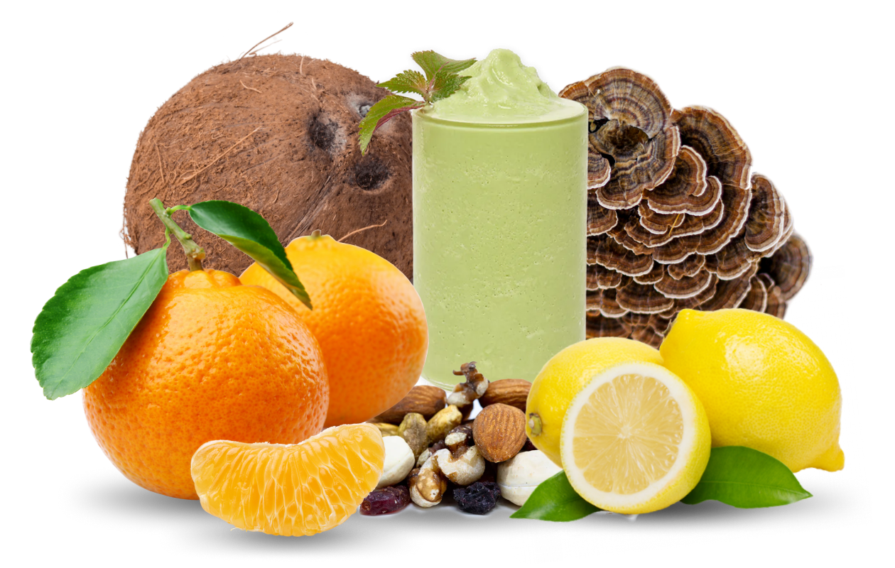Image of smoothie with orange, lemon, coconut and turkey tail