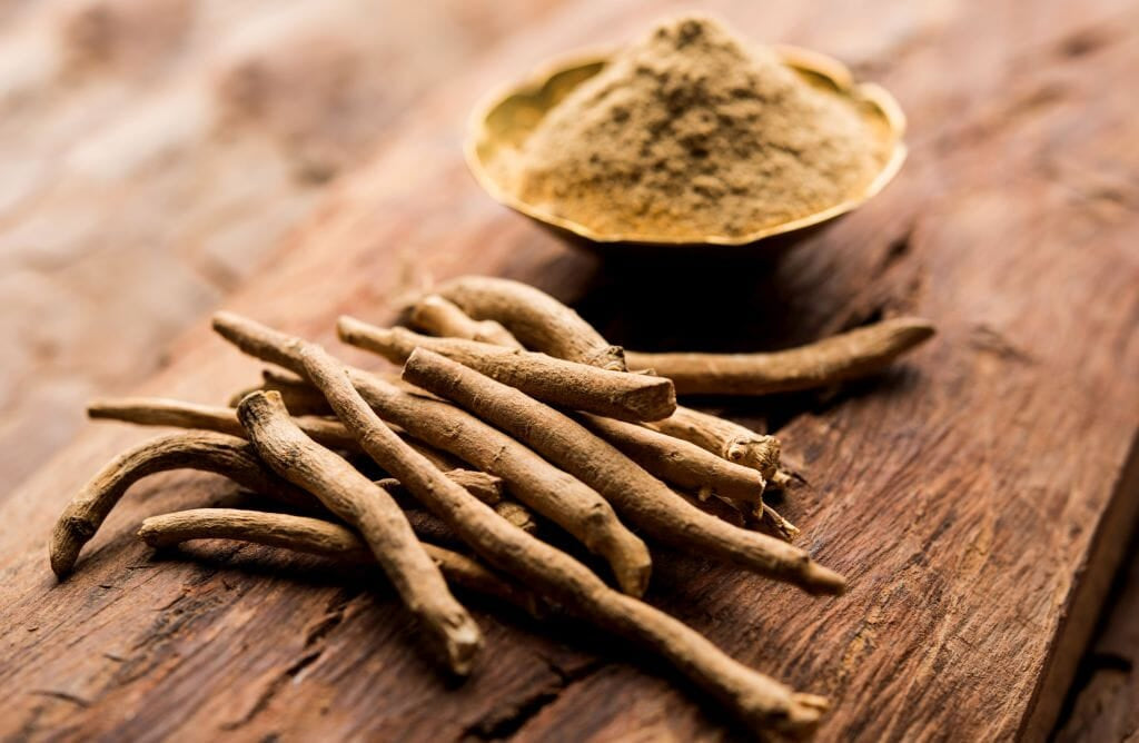 11 FAQs That You Need to Know About Ashwagandha Root