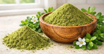 This is a of a close up picture of fresh Bacopa Monnieri (Brahmi) Powder next to Organic Bacopa Monnieri (Brahmi) Powder in a wooden bowl, all on a kitchen counter with a bright sunny window in the background.
