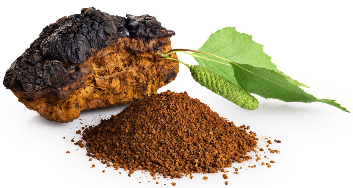 This is a picture of Chaga mushroom pieces and powder with a leaf on white background.