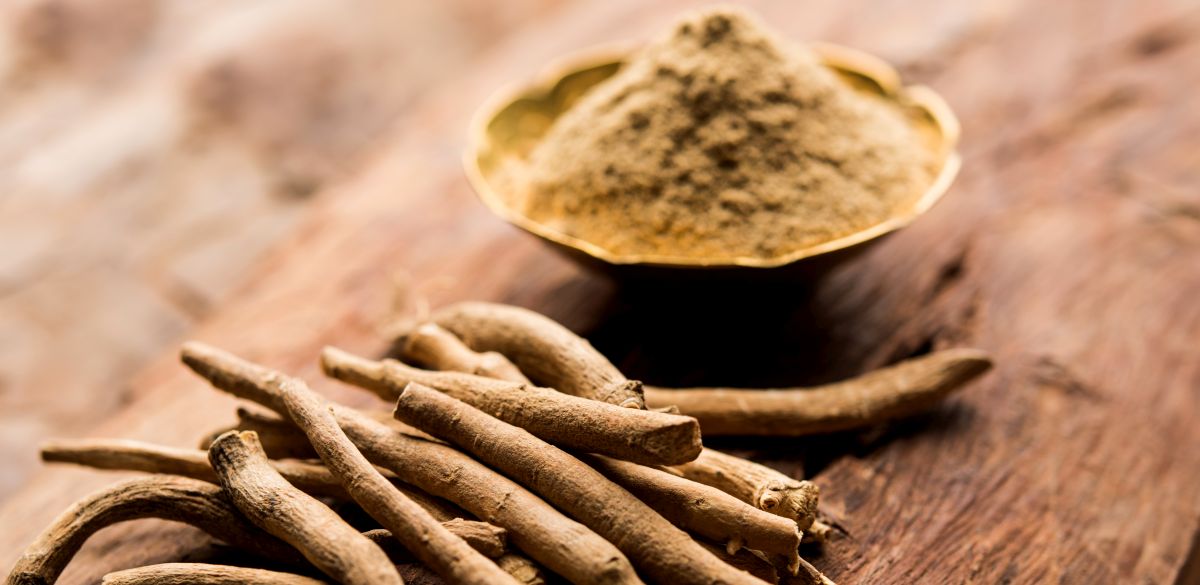 This is a picture of ashwagandha root pieces in a bundle next to a bowl of powder on a wooden background.