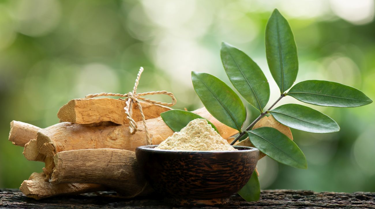 This is a picture of tongkat ali powder in a wooden bowl with tongkat ali root resting behind it, with a blurred out green background.