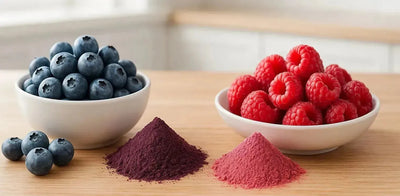 This is a picture of two white bowls filled with fresh blueberries and fresh red raspberries, with fresh powder next to the bowls, on a wooden kitchen countertop.