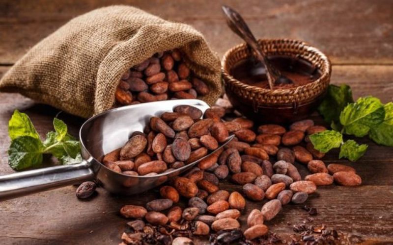 Cacao