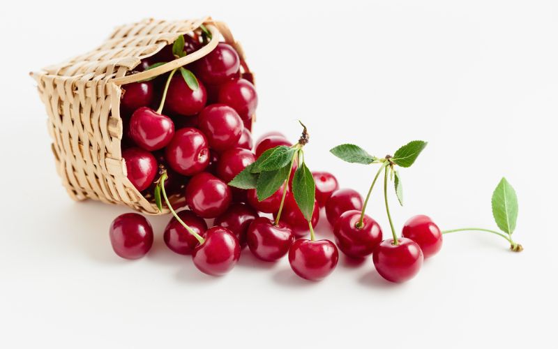 Can you sleep and recover better with Tart Cherry?