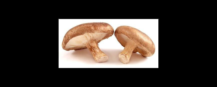 Discover the Ancient Powers of Shiitake and Maitake Mushrooms