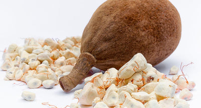 This is a picture of a baobab fruit and pulp on white background