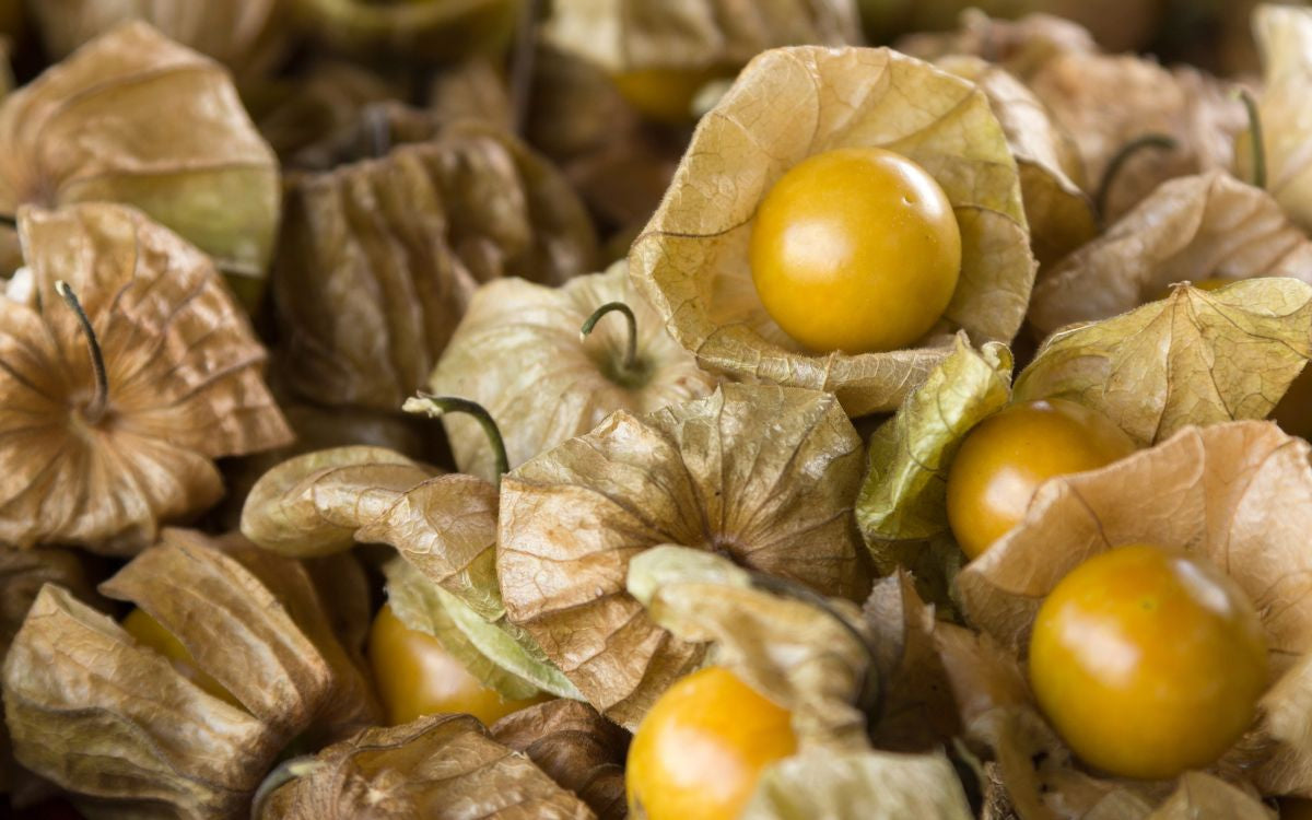 Health Benefits of Golden Berries: Nature's Superfruit