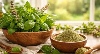 This is a picture of a wooden bowl full of fresh Holy Basil next to a bowl of Holy Basil Powder (Tulsi) on a kitchen counter, with a window overlooking a sunny day with fresh trees and grass in the backyard.
