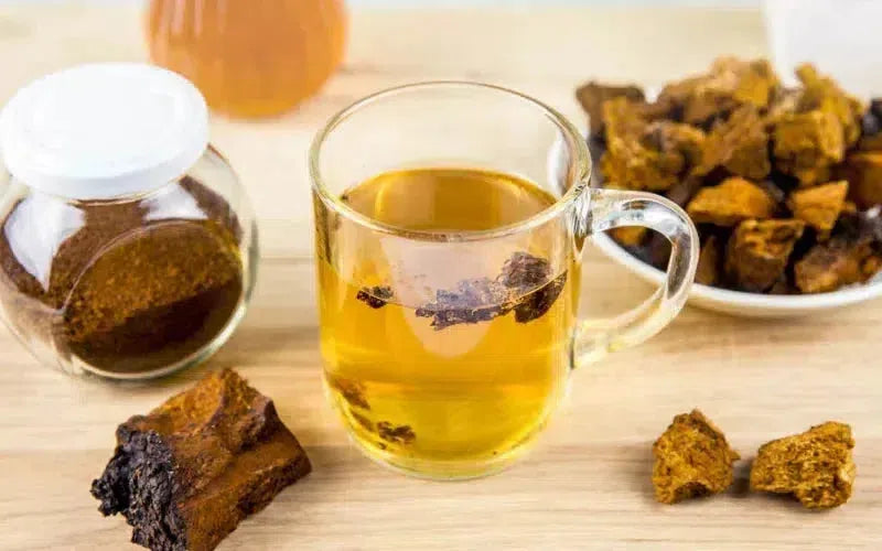 chaga-mashroom-sweetend-tea