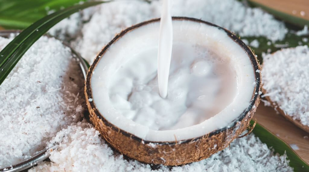 Is Coconut Milk Powder the Same as Coconut Milk? (Explained)