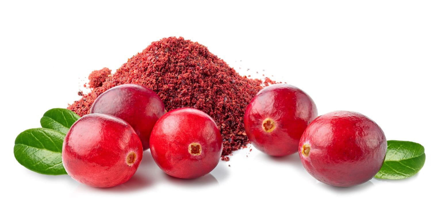 Is Freeze Dried Cranberry Powder Good For You? (13 healthy reasons)