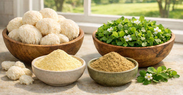 This is a picture of a wooden bowl full of fresh Lion's Mane and a fresh bowl of Bacopa next to a bowl of Bacopa and a bowl of Lion's Mane powder on a kitchen counter, with a window overlooking a sunny day with fresh trees and grass in the backyard.