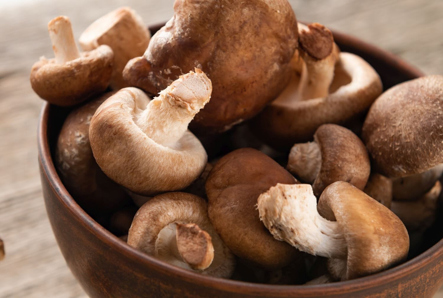 Types of polysaccharides in mushrooms (+beta-glucan facts)