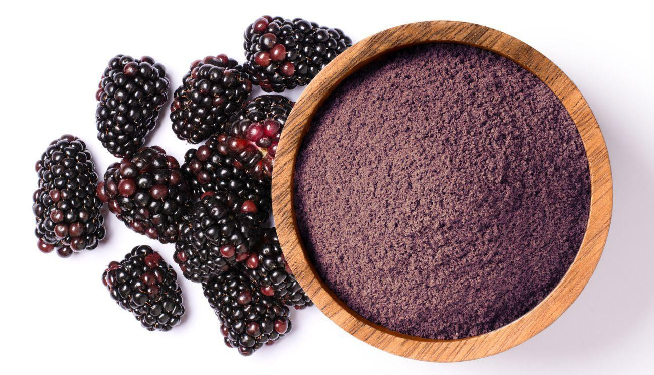 This is a picture of a wooden bowl filled with blackberry powder with fresh blackberries next to it on a white background.