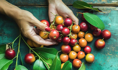 This is a picture of freshly picked camu berries and their leaves with a persons hands with red fingernail polish, on a wood background.