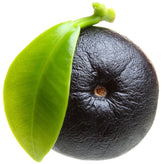 Image of a fresh acai berry and green leaf