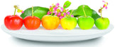 Image of six Acerola Cherries aligned in a row with varying shades of ripeness.
