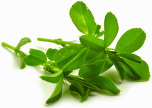 Image of 2 bright green Alfalfa Leaves
