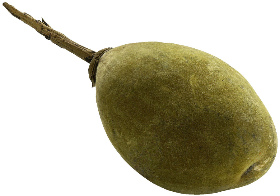 Image of Baobab Fruit with a piece of stem