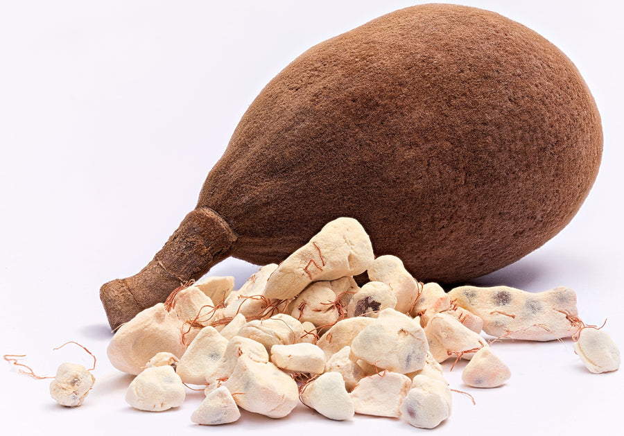 Image of whole Baobab Fruit next to Baobab fruit pieces