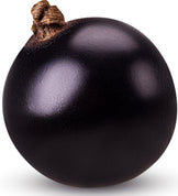 Close photo of single of Black Currant on white background