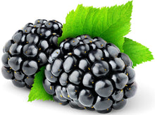 Image of blackberries and green leaves