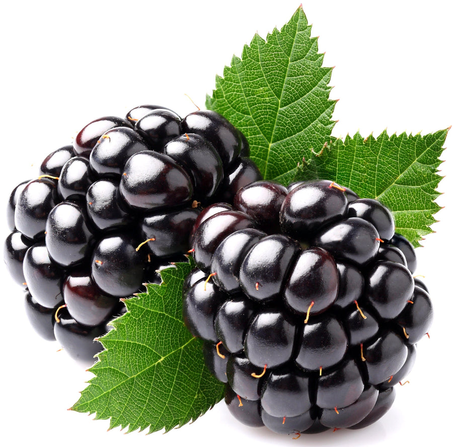 Image of blackberries and green leaves