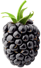 Image of a Blackberry