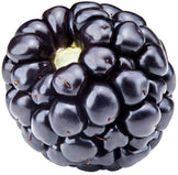 Image of a Blackberry