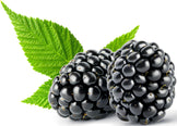 Image of blackberries and green leaves