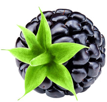 Image of a Blackberry