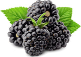 Image of blackberries and green leaves