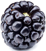 Image of blackberry