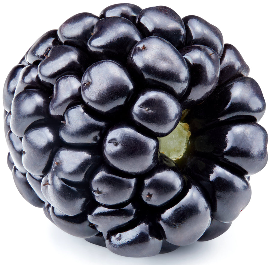 Image of blackberry