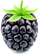 Image of blackberry