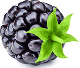 Image of blackberry