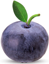 Closeup image of single Blueberry with stem and leaf on white background