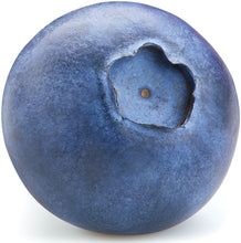 Single whole Blueberry on white background.