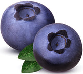 Closeup image of two Blueberries.