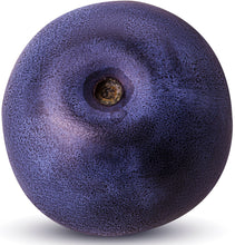 Single whole Blueberry on white background.