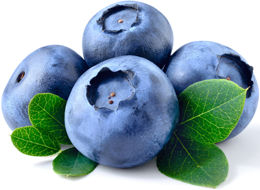 Image of a bunch of Blueberries and green leaves