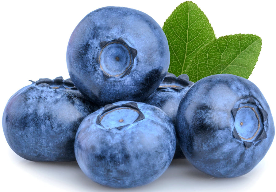 Image of a bunch of Blueberries and green leaves