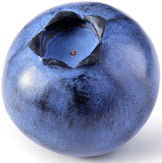 Closeup image of single Blueberry on white background.