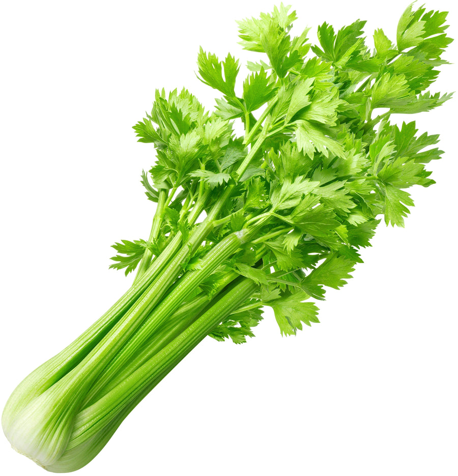 Image of whole Celery bunch with its leaves