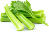 Image of Celery sticks and a green leaf on white background