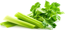 Image of celery sticks and its leaves