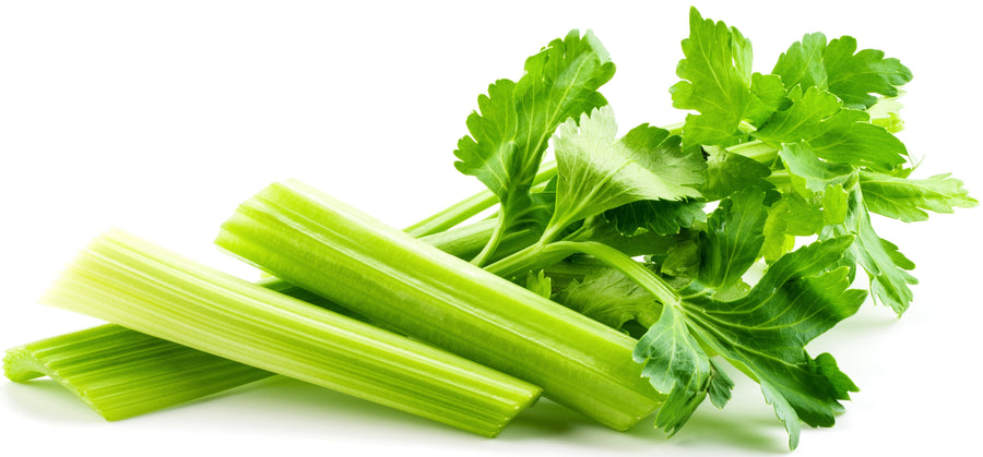 Image of celery sticks and its leaves