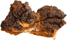 Image of a piece of Chaga Mushroom
