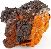 Image of chunk of Chaga Mushroom